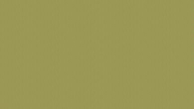 Smart Seating, How Office Chair Choices Shape Comfort