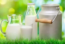 شیر چاق کننده هست