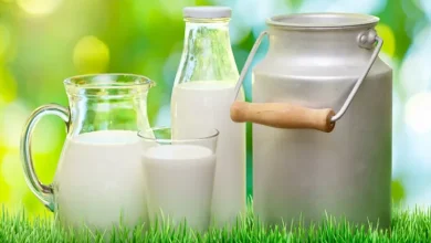 شیر چاق کننده هست