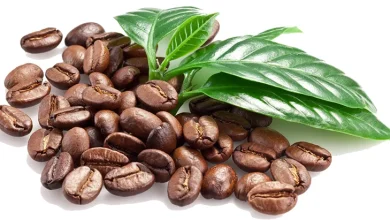 قهوه از چی درست میشه ؟
