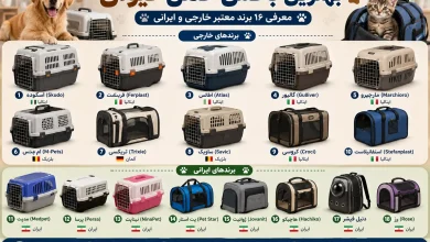 بهترین باکس حمل حیوان