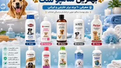 بهترین شامپو سگ