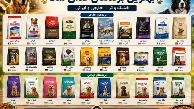 بهترین غذای سگ
