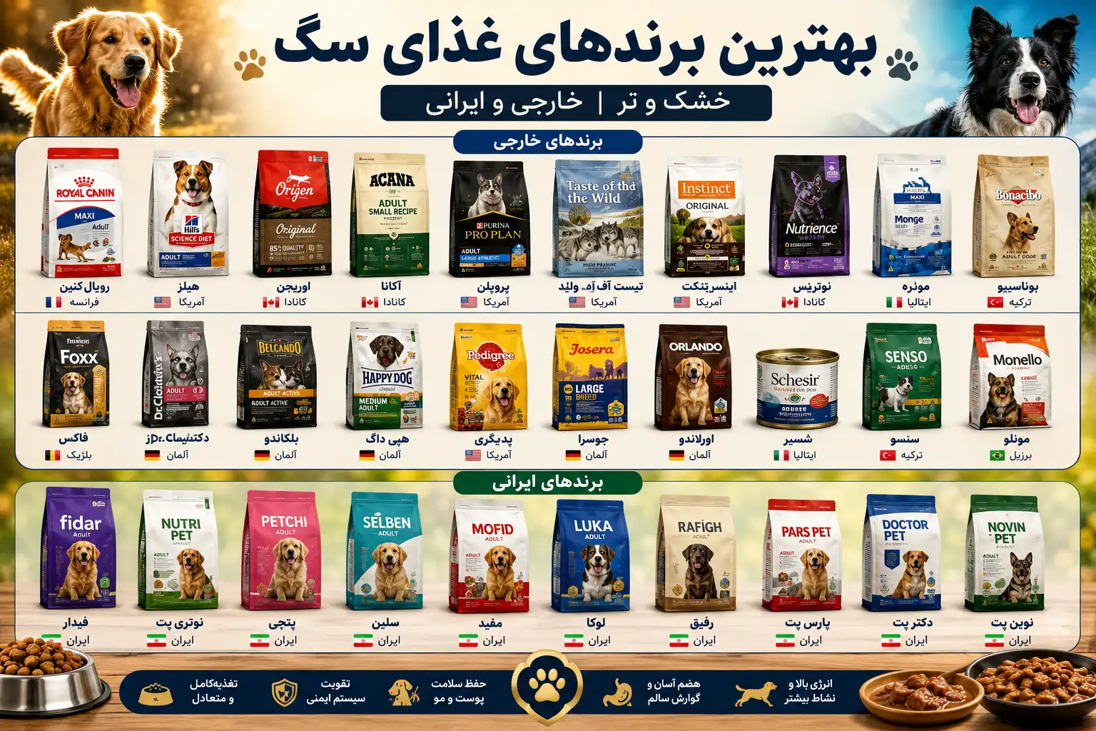 بهترین غذای سگ
